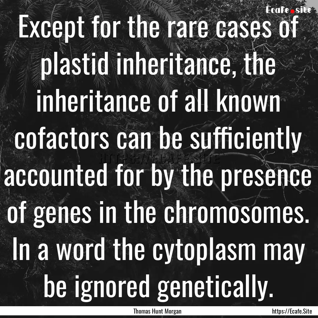 Except for the rare cases of plastid inheritance,.... : Quote by Thomas Hunt Morgan