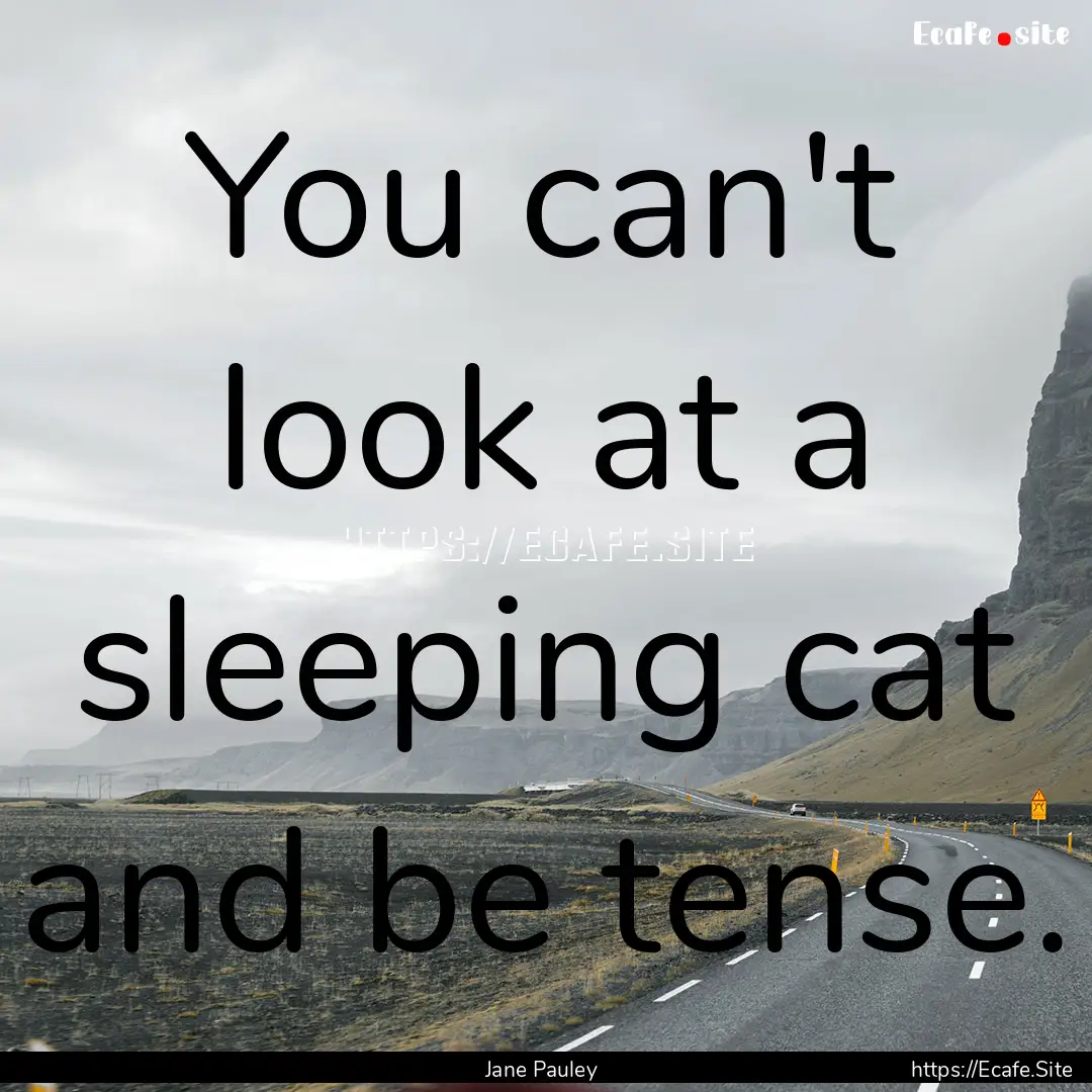 You can't look at a sleeping cat and be tense..... : Quote by Jane Pauley