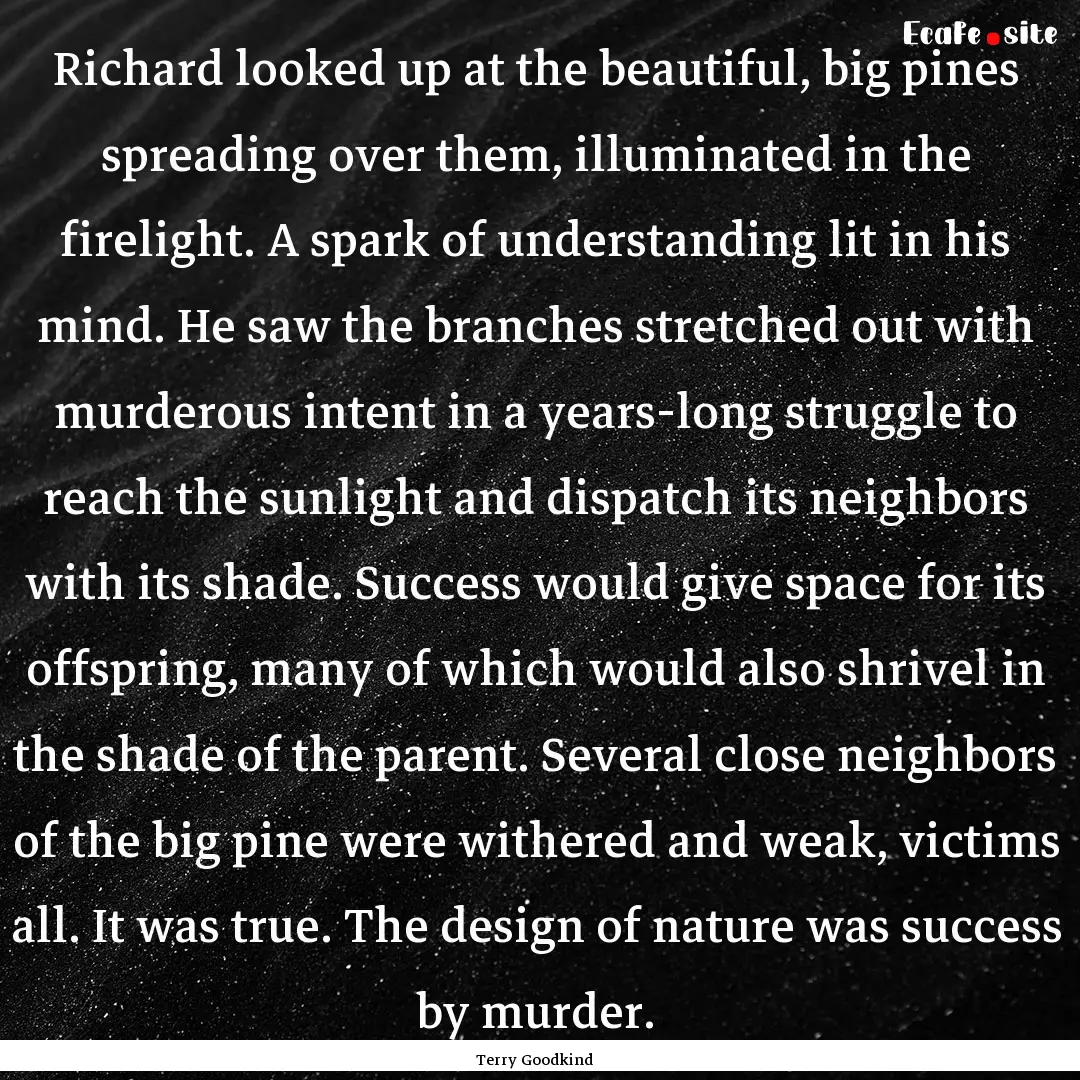 Richard looked up at the beautiful, big pines.... : Quote by Terry Goodkind