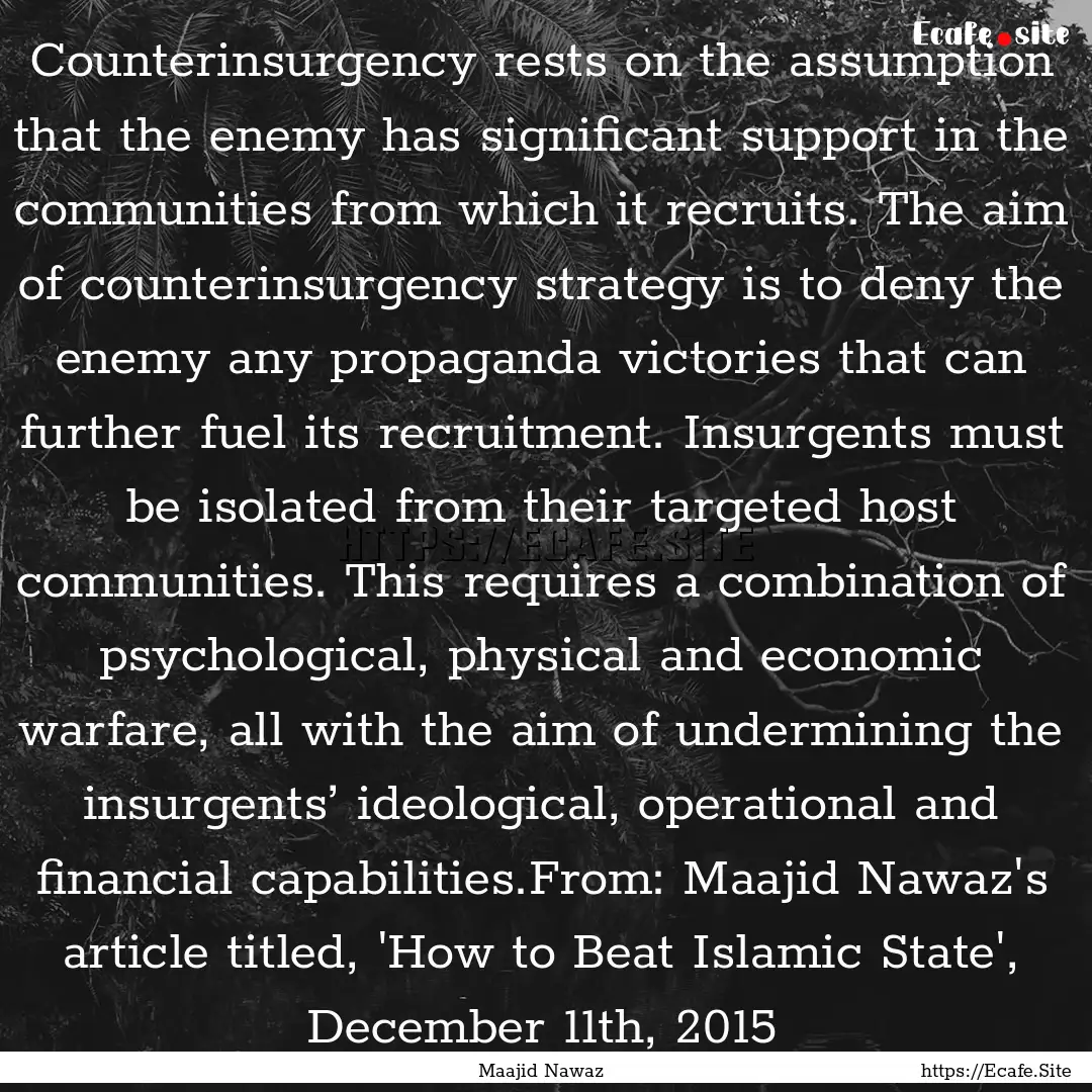 Counterinsurgency rests on the assumption.... : Quote by Maajid Nawaz