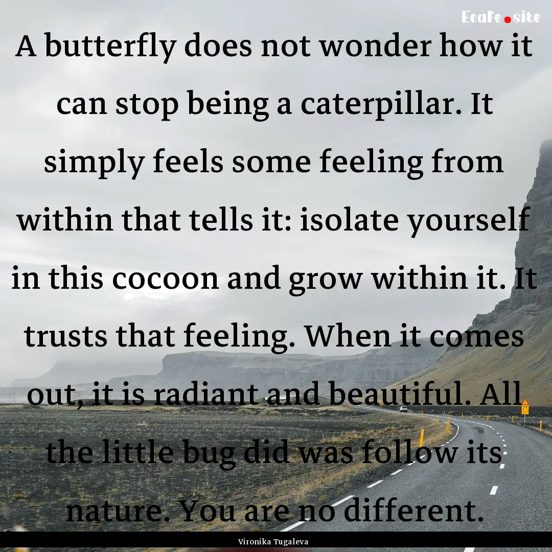 A butterfly does not wonder how it can stop.... : Quote by Vironika Tugaleva