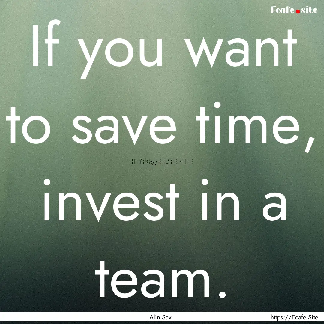 If you want to save time, invest in a team..... : Quote by Alin Sav