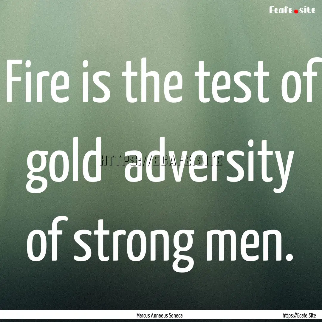 Fire is the test of gold adversity of strong.... : Quote by Marcus Annaeus Seneca