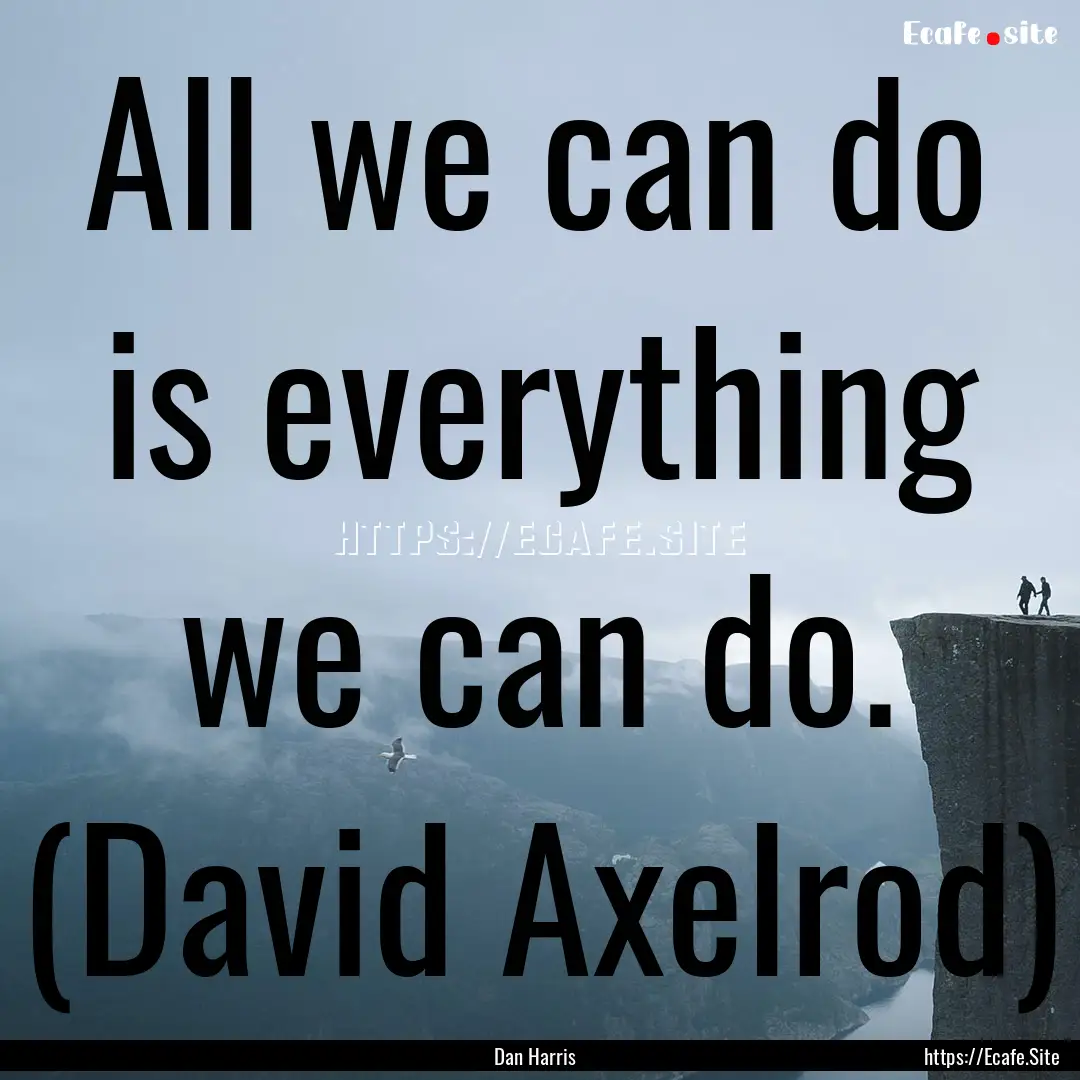 All we can do is everything we can do. (David.... : Quote by Dan Harris