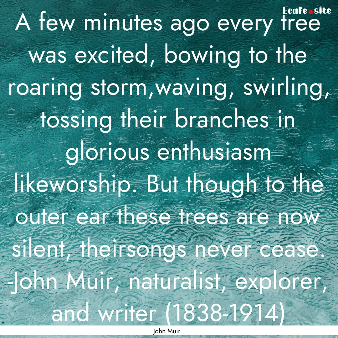 A few minutes ago every tree was excited,.... : Quote by John Muir