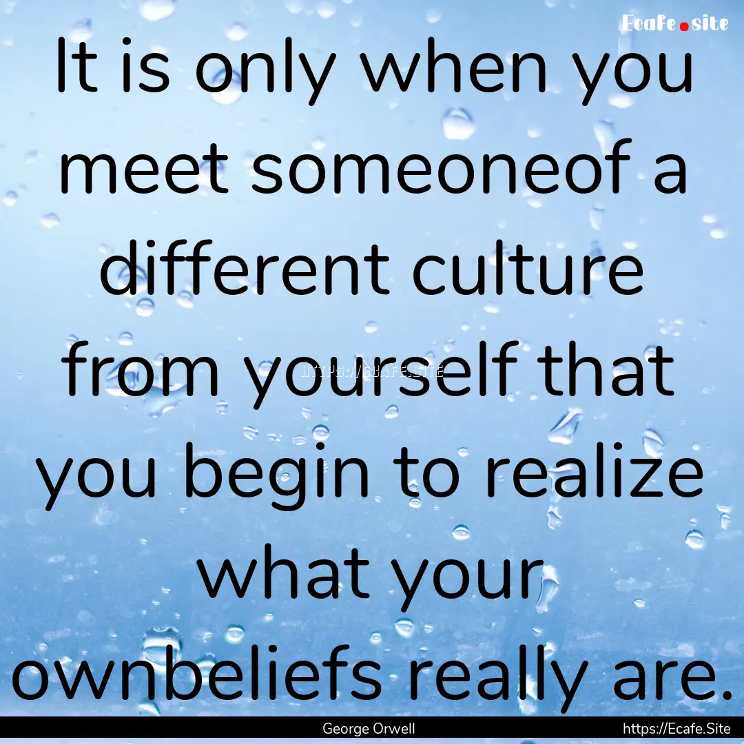 It is only when you meet someoneof a different.... : Quote by George Orwell