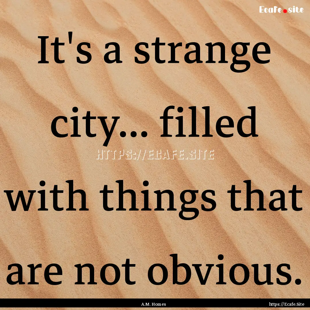 It's a strange city... filled with things.... : Quote by A.M. Homes