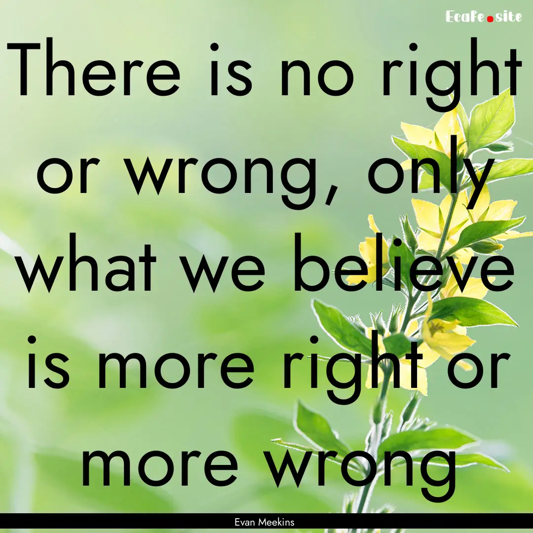 There is no right or wrong, only what we.... : Quote by Evan Meekins