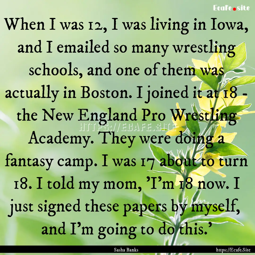 When I was 12, I was living in Iowa, and.... : Quote by Sasha Banks