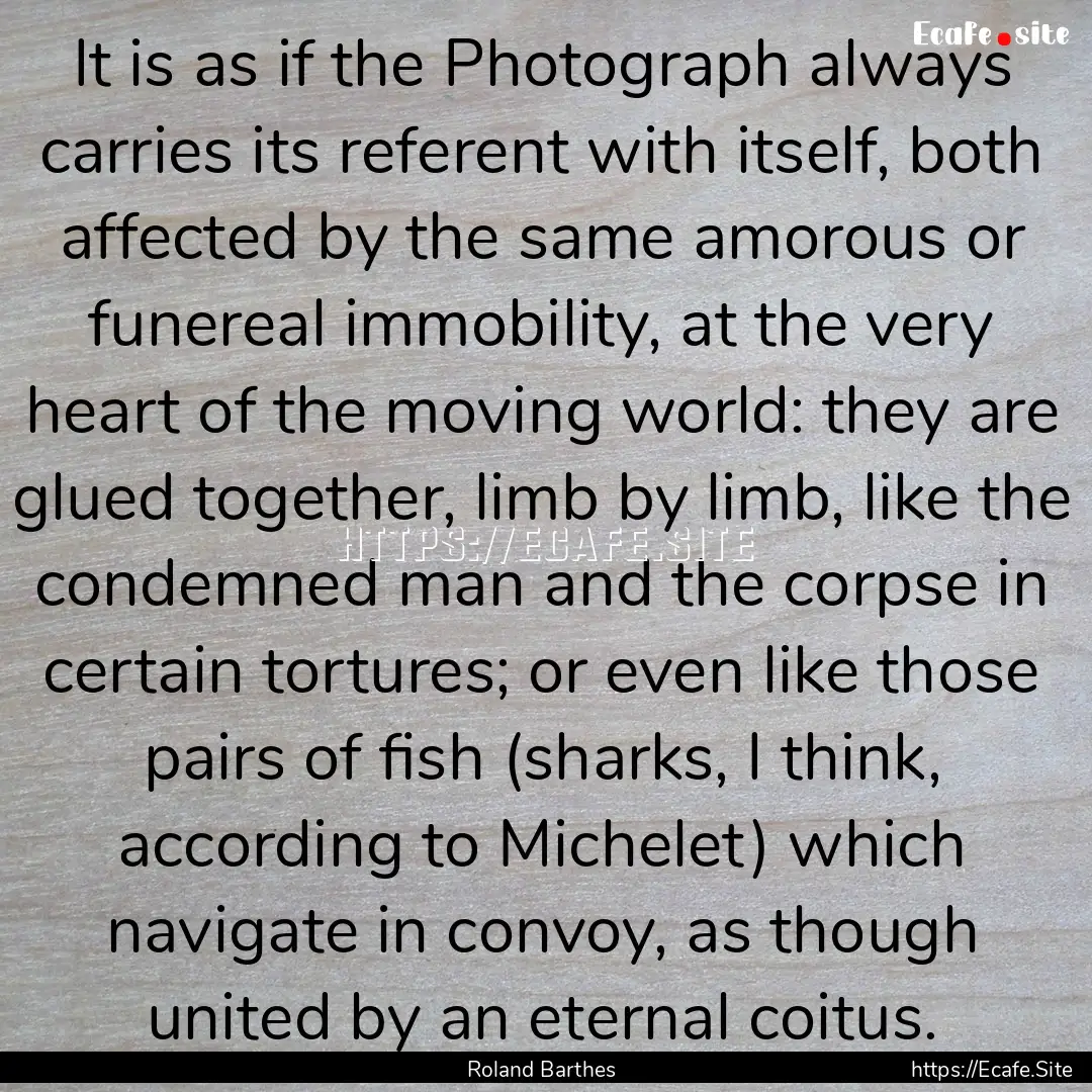 It is as if the Photograph always carries.... : Quote by Roland Barthes