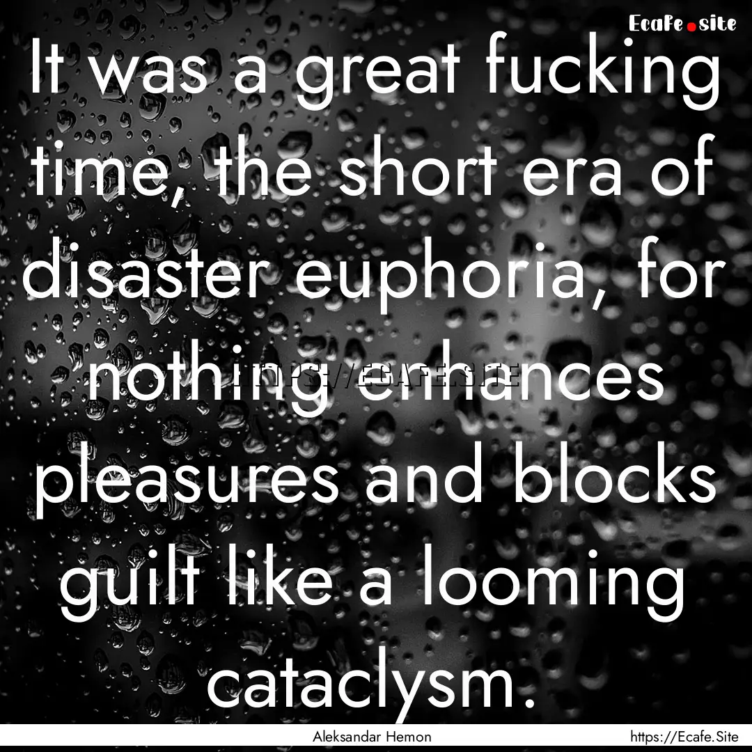 It was a great fucking time, the short era.... : Quote by Aleksandar Hemon