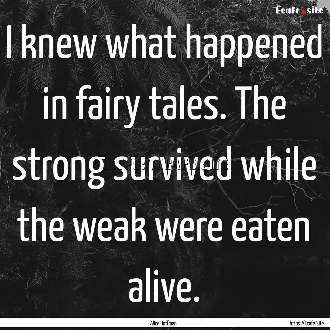 I knew what happened in fairy tales. The.... : Quote by Alice Hoffman