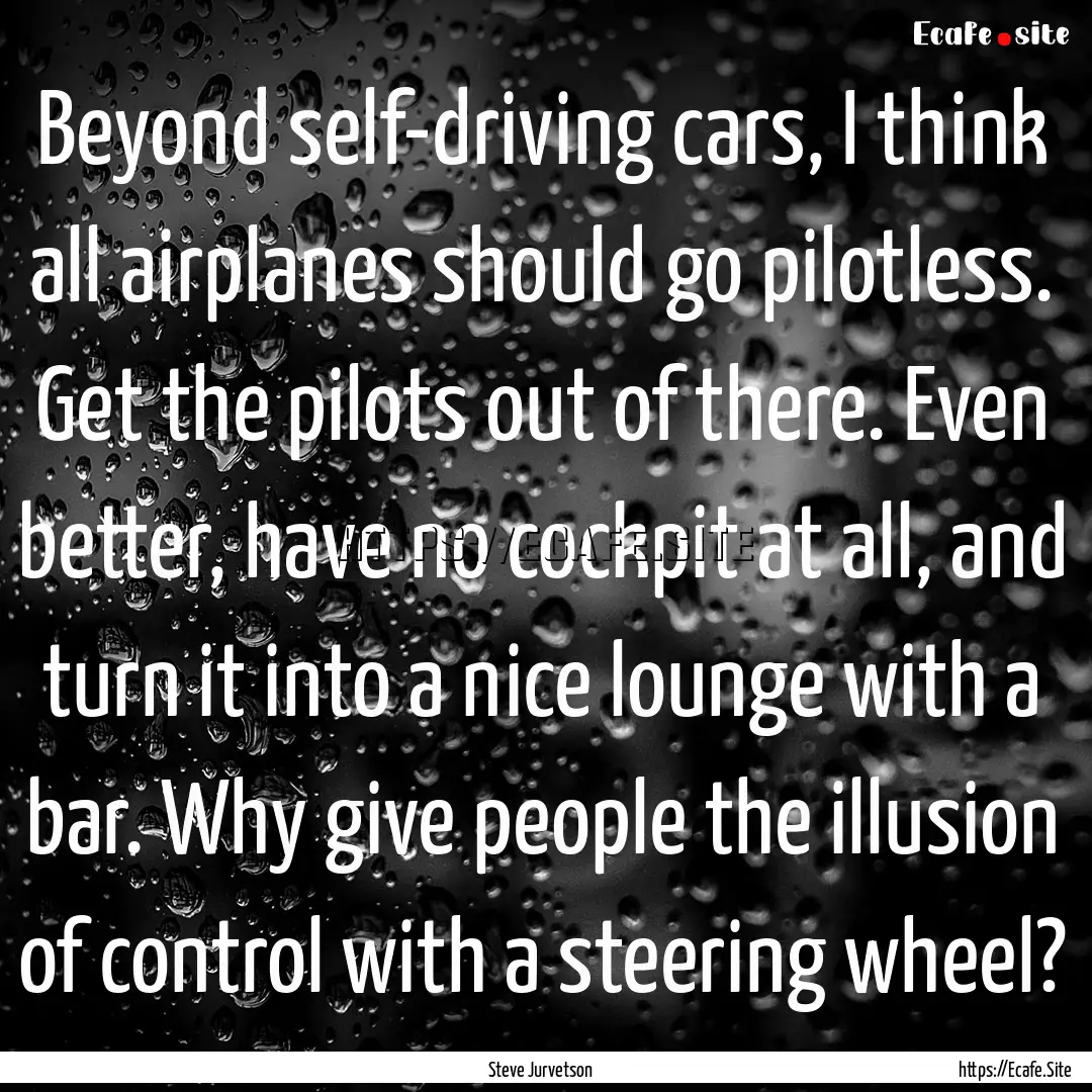 Beyond self-driving cars, I think all airplanes.... : Quote by Steve Jurvetson