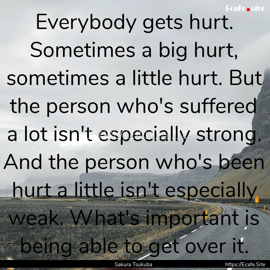 Everybody gets hurt. Sometimes a big hurt,.... : Quote by Sakura Tsukuba