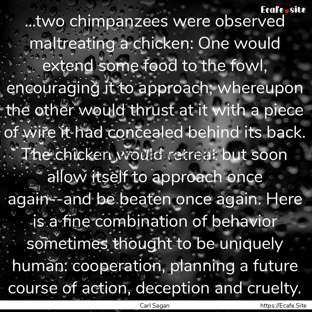 ...two chimpanzees were observed maltreating.... : Quote by Carl Sagan