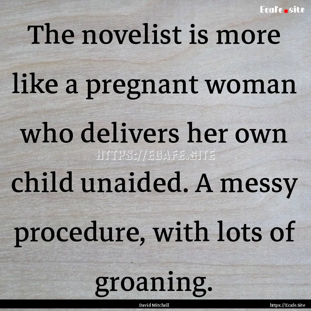 The novelist is more like a pregnant woman.... : Quote by David Mitchell