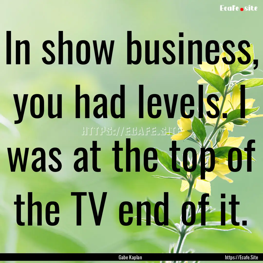 In show business, you had levels. I was at.... : Quote by Gabe Kaplan