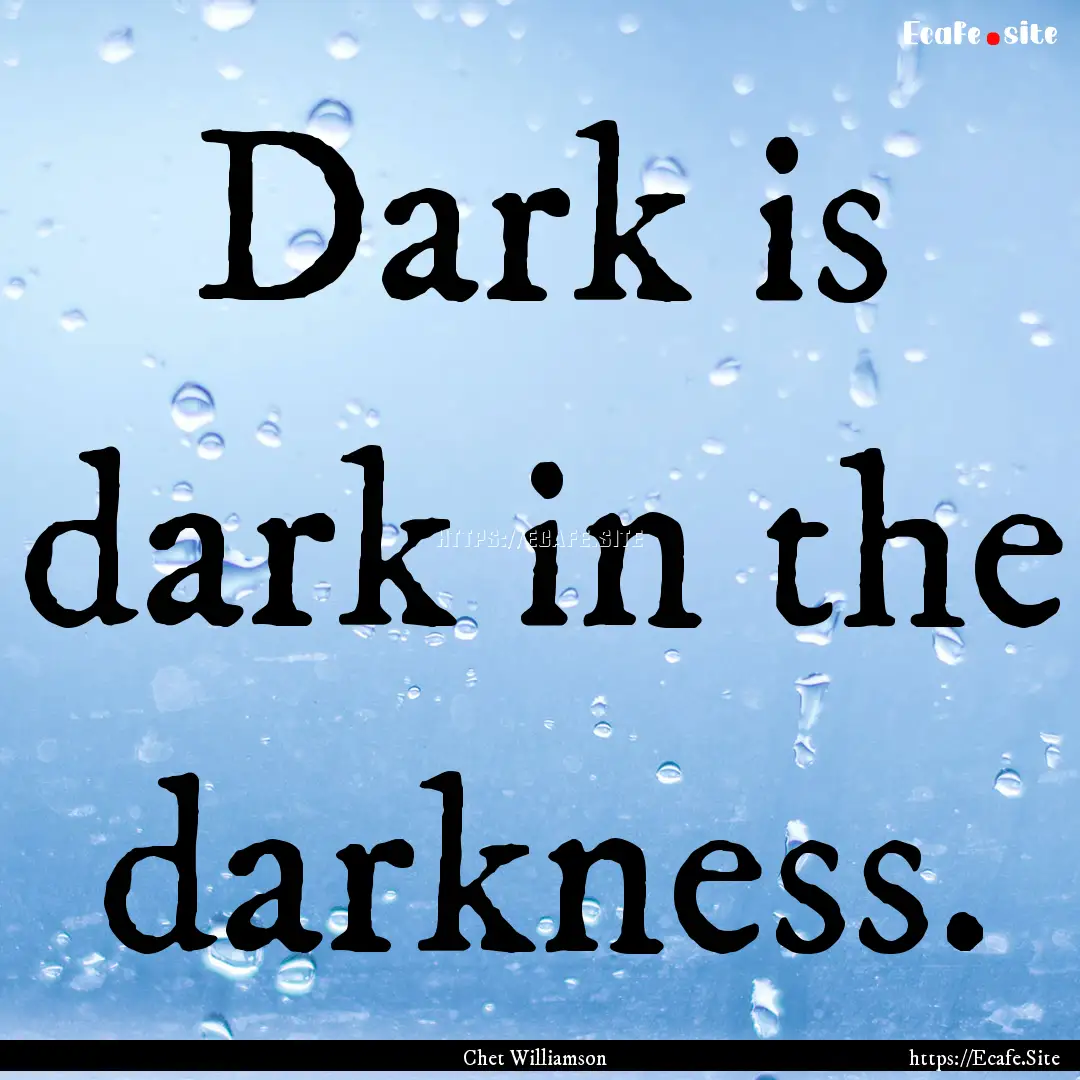 Dark is dark in the darkness. : Quote by Chet Williamson