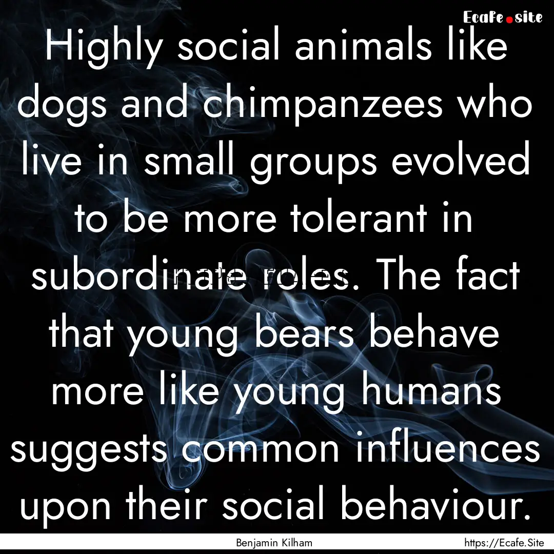 Highly social animals like dogs and chimpanzees.... : Quote by Benjamin Kilham