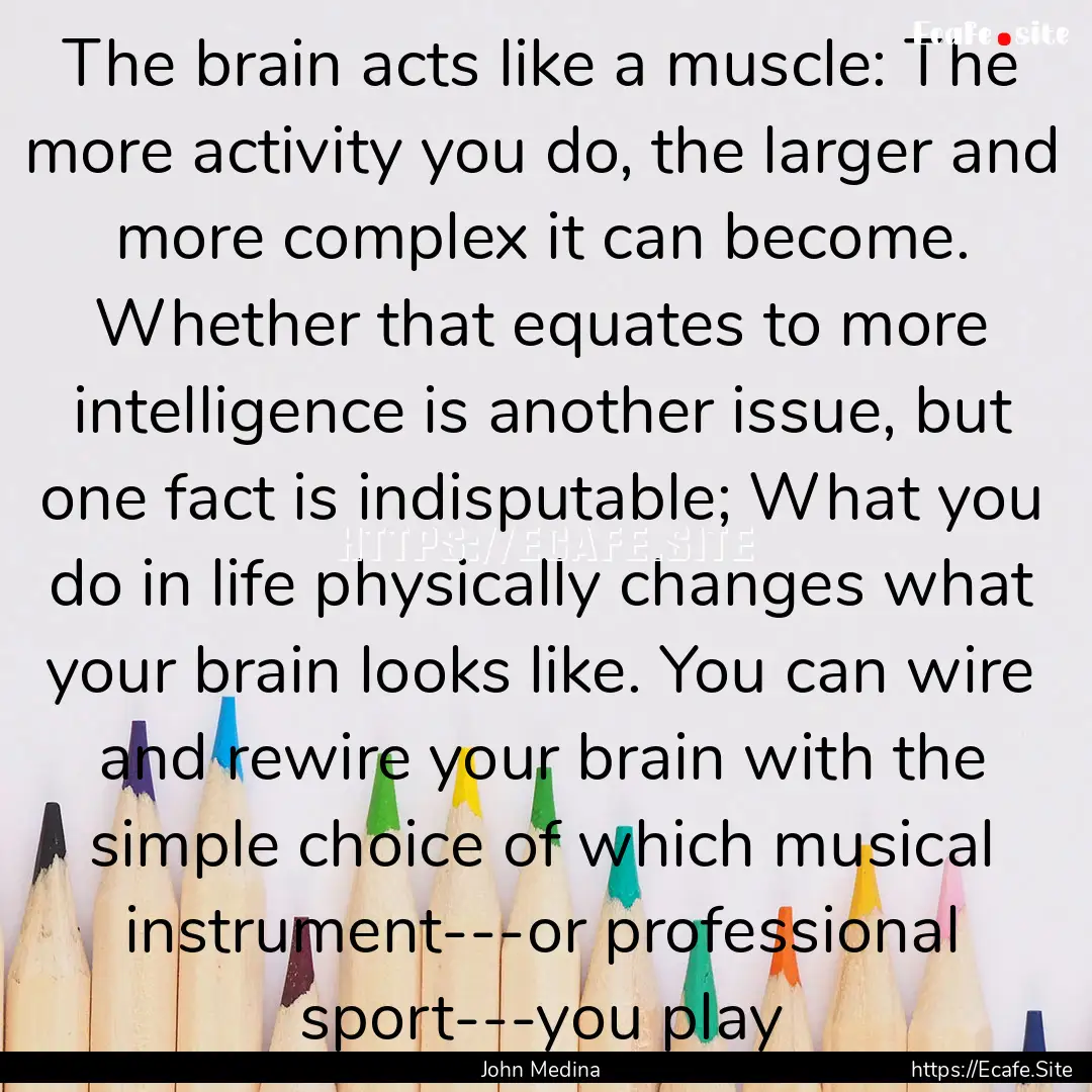 The brain acts like a muscle: The more activity.... : Quote by John Medina