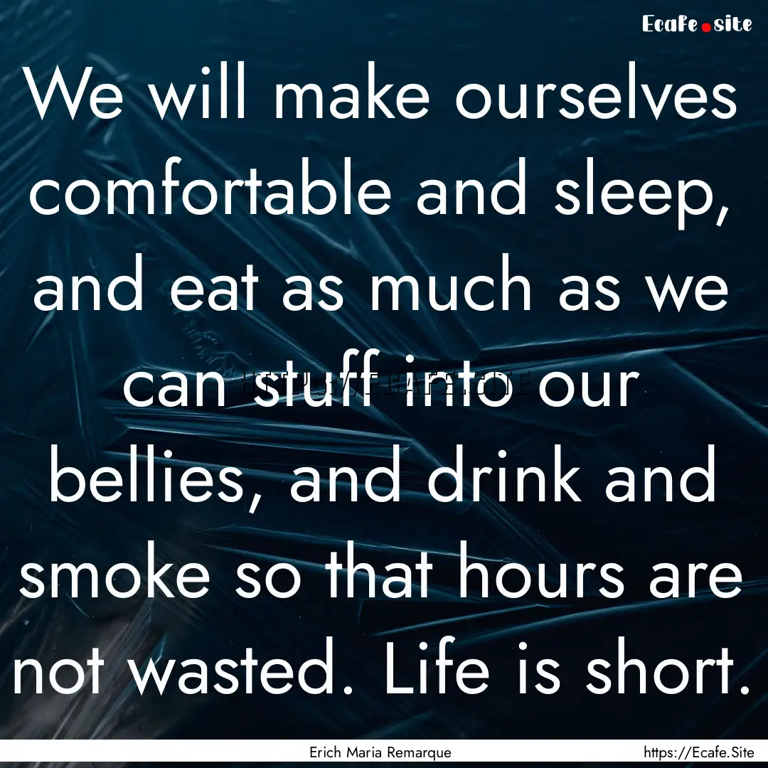 We will make ourselves comfortable and sleep,.... : Quote by Erich Maria Remarque