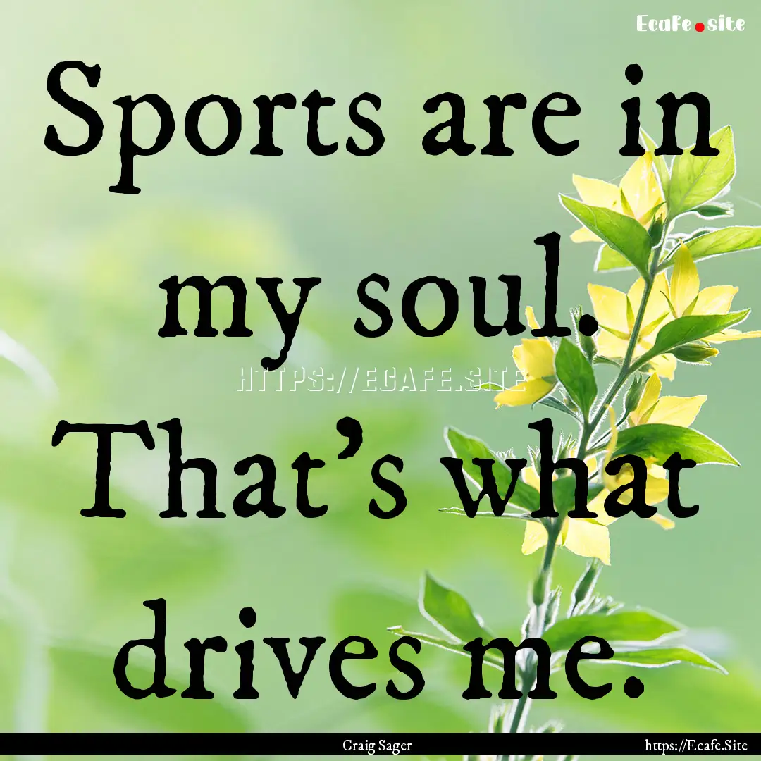 Sports are in my soul. That's what drives.... : Quote by Craig Sager