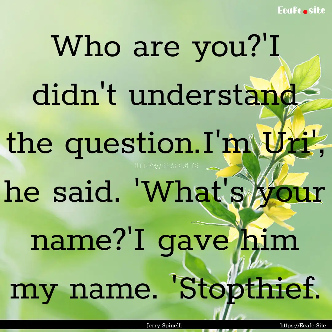 Who are you?'I didn't understand the question.I'm.... : Quote by Jerry Spinelli