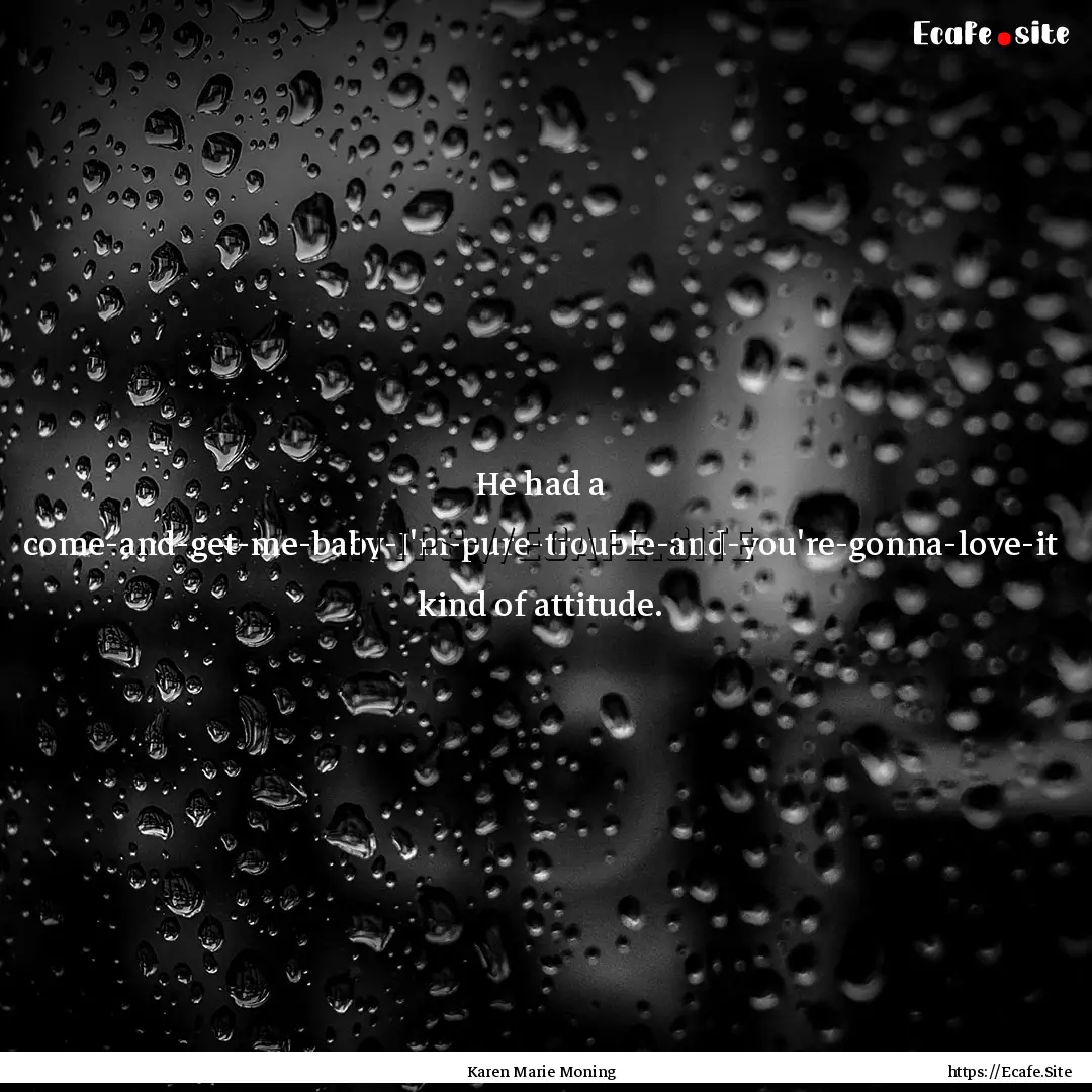 He had a come-and-get-me-baby-I'm-pure-trouble-and-you're-gonna-love-it.... : Quote by Karen Marie Moning