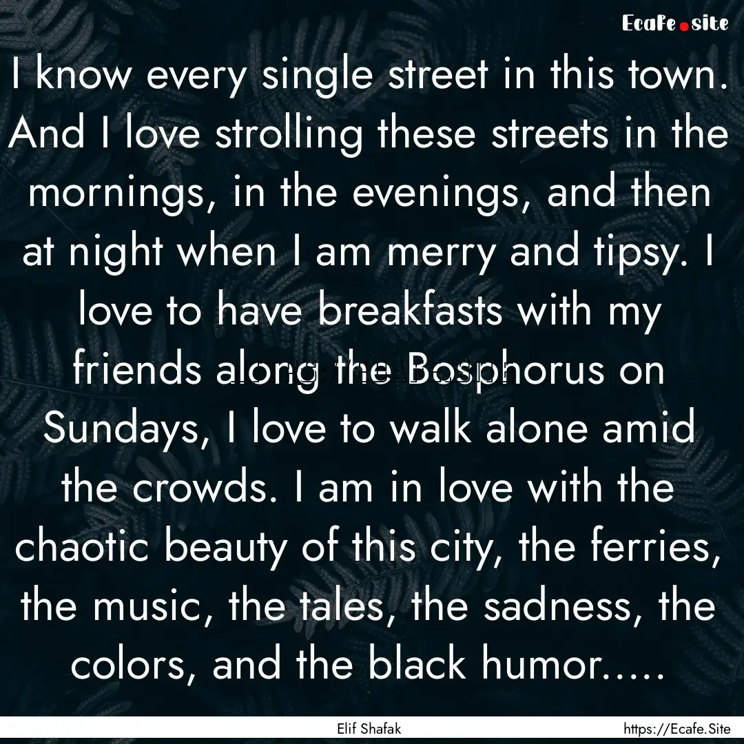 I know every single street in this town..... : Quote by Elif Shafak