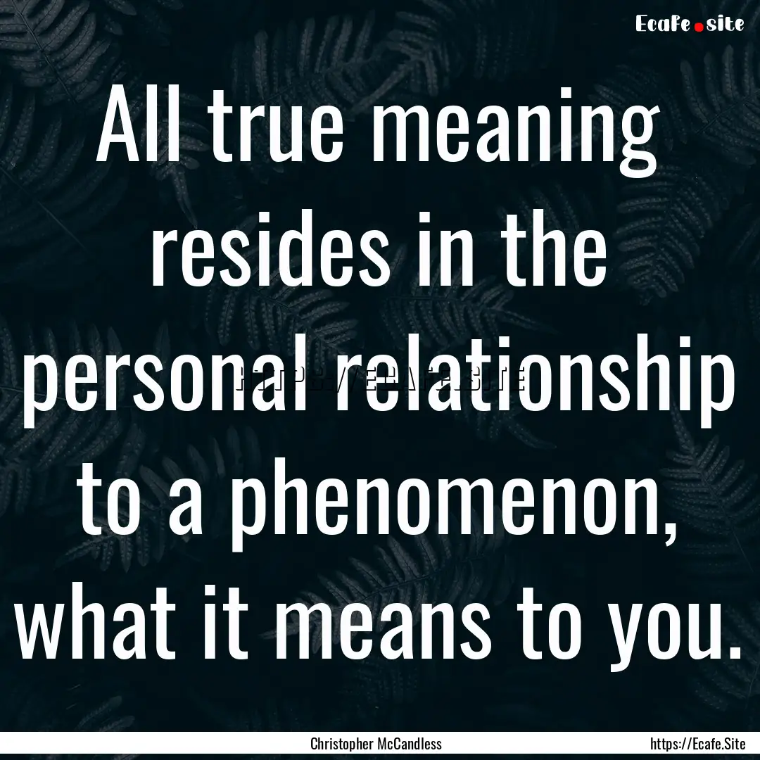 All true meaning resides in the personal.... : Quote by Christopher McCandless