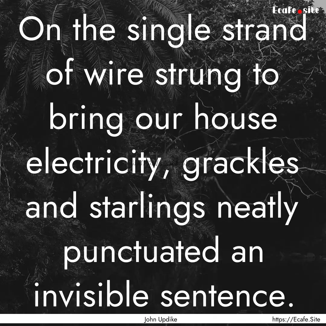 On the single strand of wire strung to bring.... : Quote by John Updike