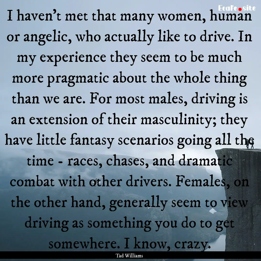 I haven't met that many women, human or angelic,.... : Quote by Tad Williams