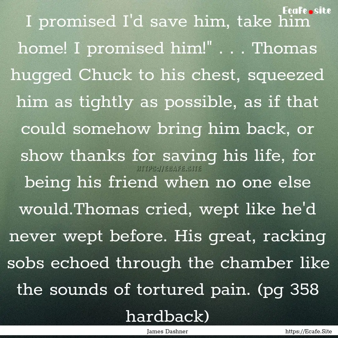 I promised I'd save him, take him home! I.... : Quote by James Dashner