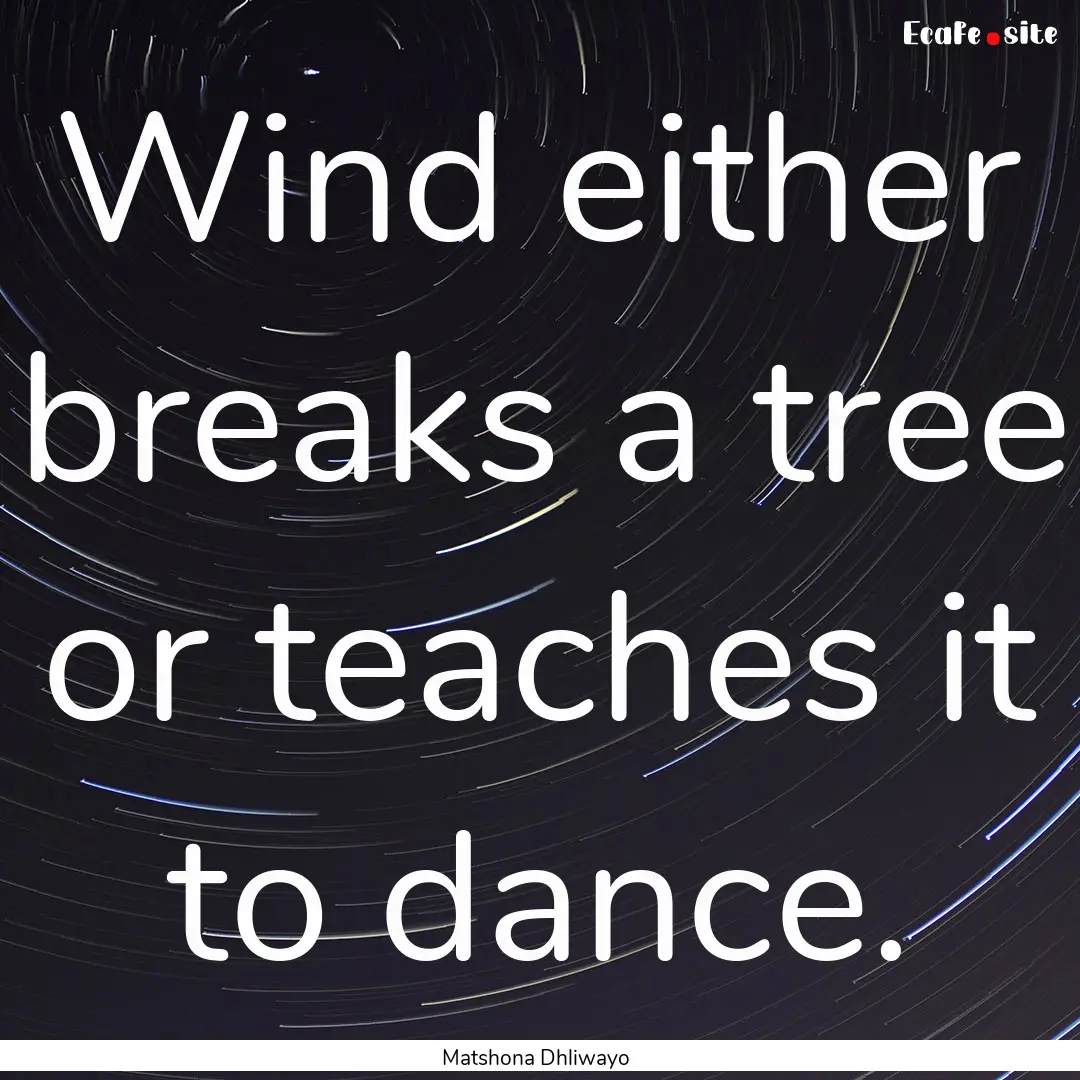 Wind either breaks a tree or teaches it to.... : Quote by Matshona Dhliwayo