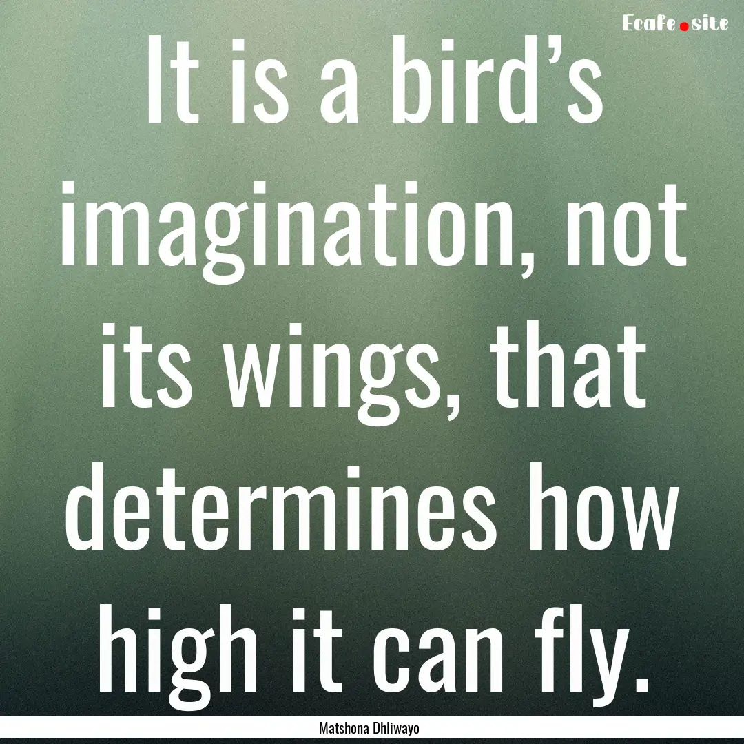 It is a bird’s imagination, not its wings,.... : Quote by Matshona Dhliwayo