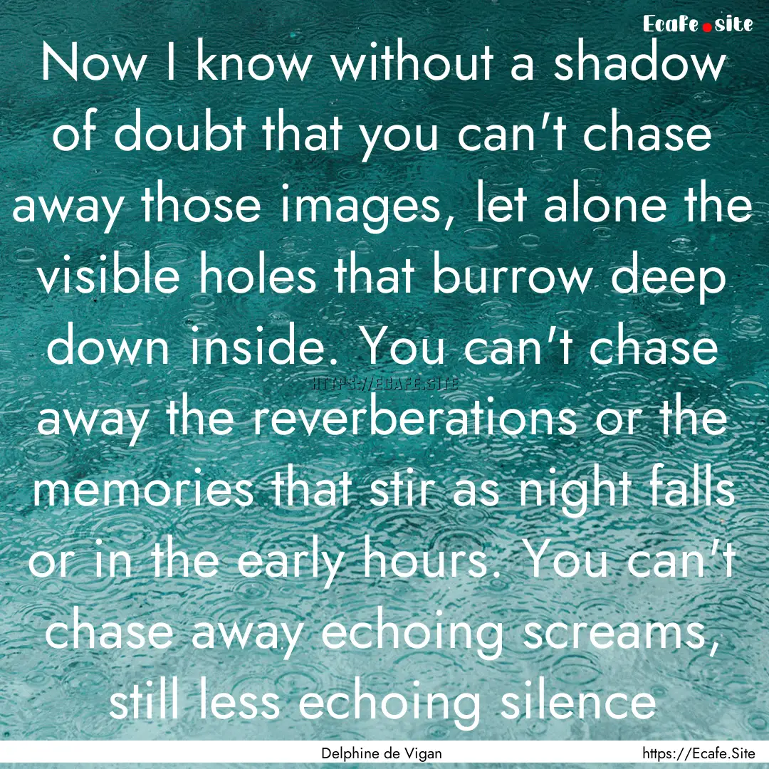 Now I know without a shadow of doubt that.... : Quote by Delphine de Vigan