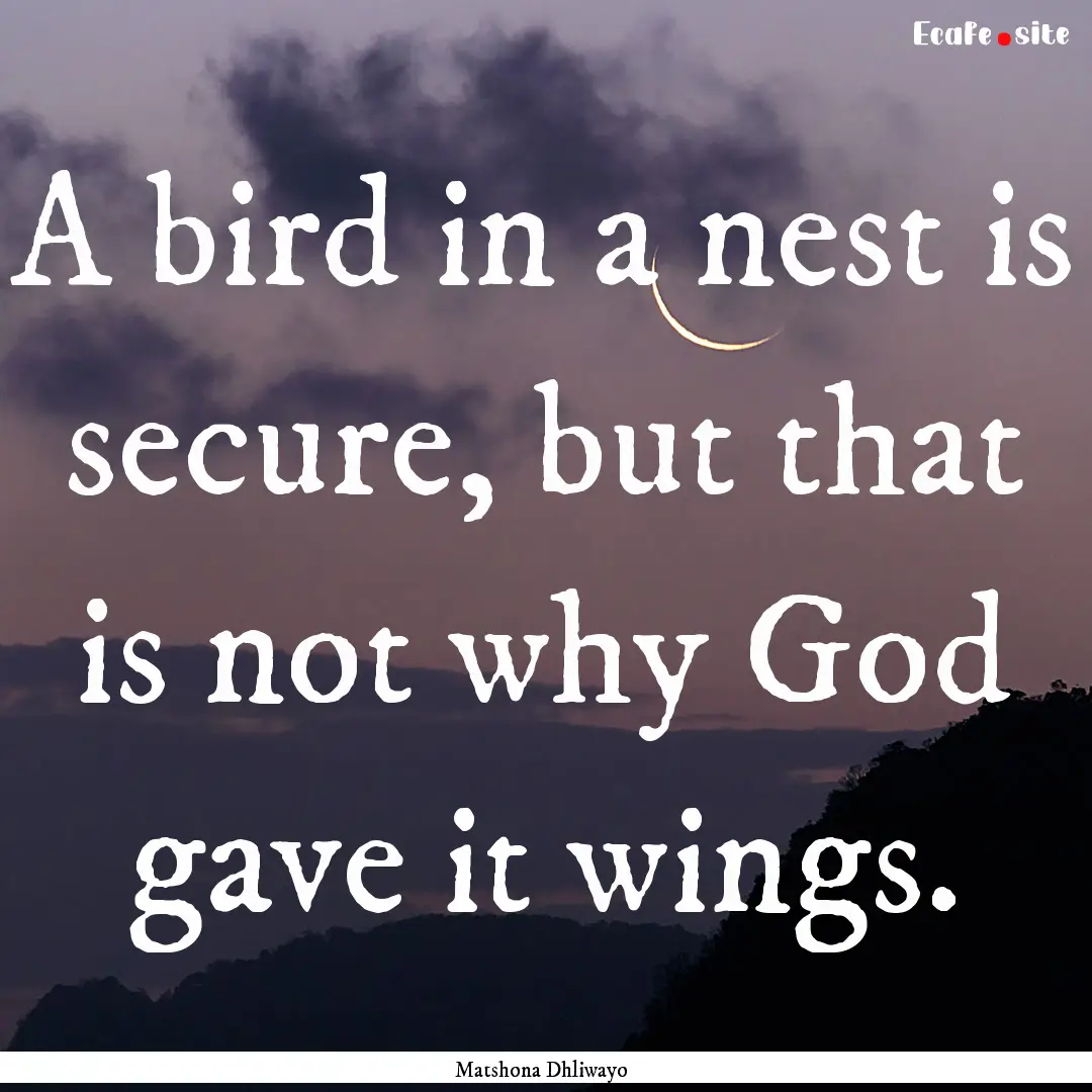 A bird in a nest is secure, but that is not.... : Quote by Matshona Dhliwayo