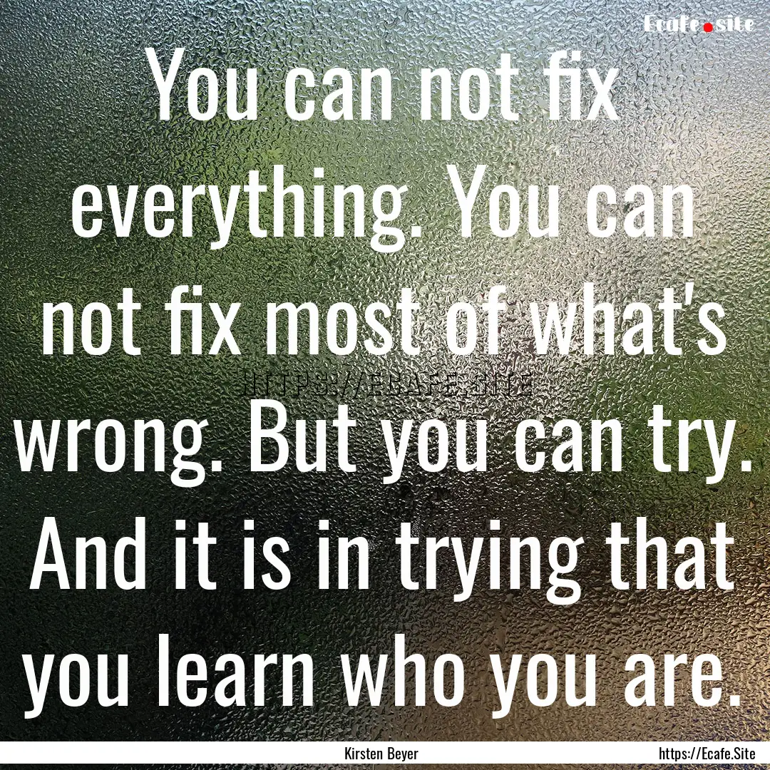 You can not fix everything. You can not fix.... : Quote by Kirsten Beyer