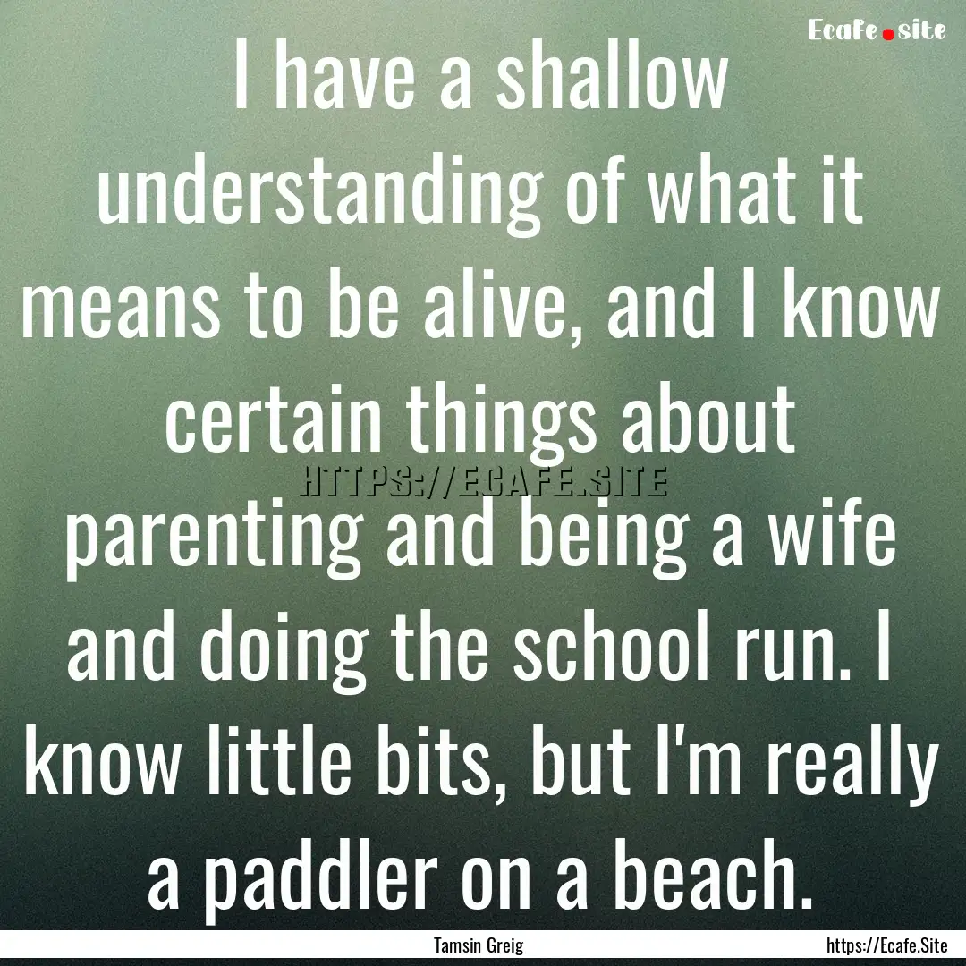 I have a shallow understanding of what it.... : Quote by Tamsin Greig