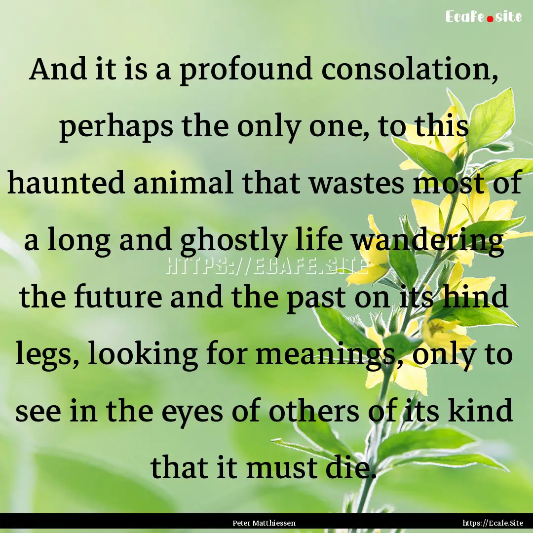 And it is a profound consolation, perhaps.... : Quote by Peter Matthiessen