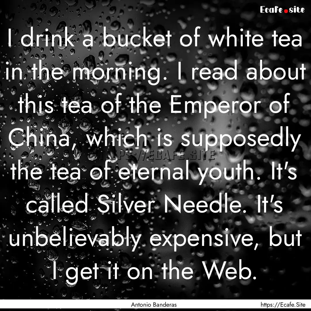 I drink a bucket of white tea in the morning..... : Quote by Antonio Banderas