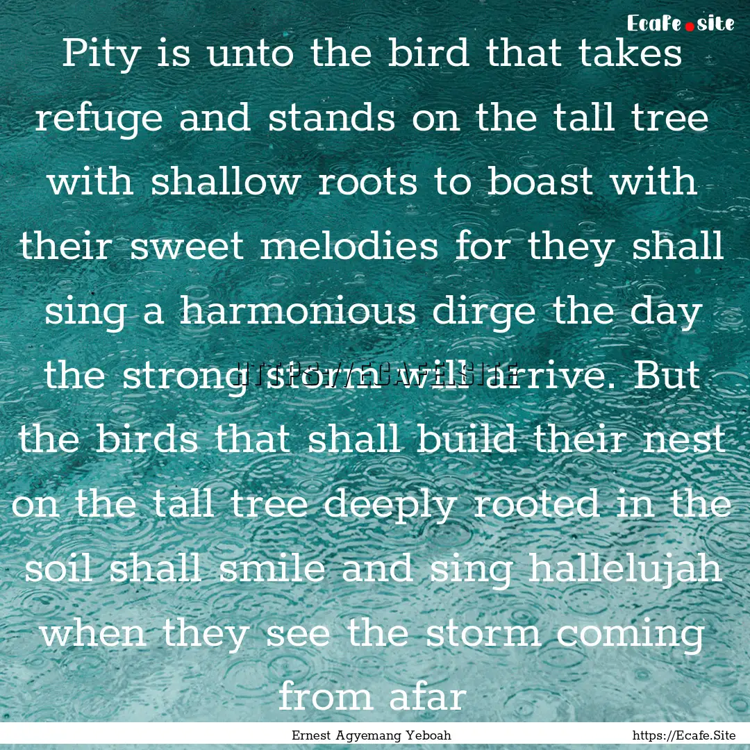 Pity is unto the bird that takes refuge and.... : Quote by Ernest Agyemang Yeboah