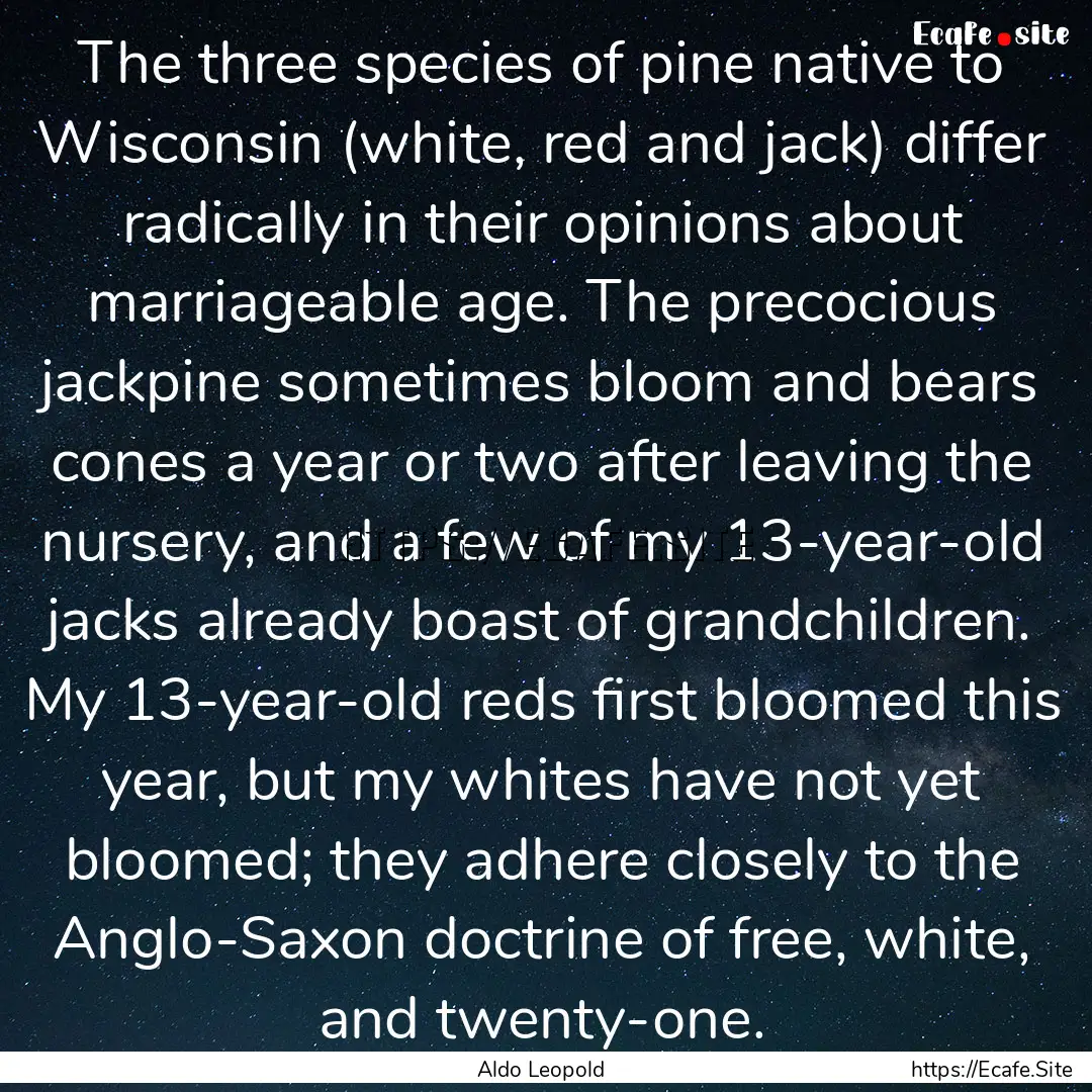 The three species of pine native to Wisconsin.... : Quote by Aldo Leopold