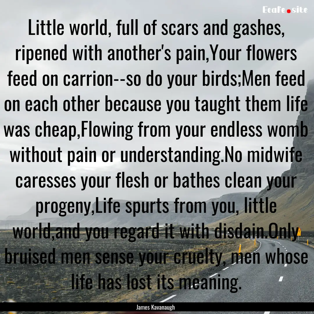 Little world, full of scars and gashes, ripened.... : Quote by James Kavanaugh