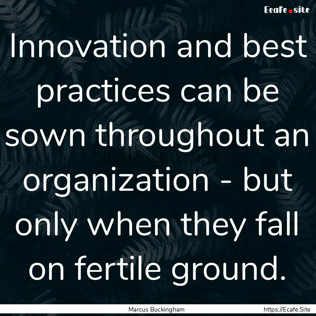 Innovation and best practices can be sown.... : Quote by Marcus Buckingham