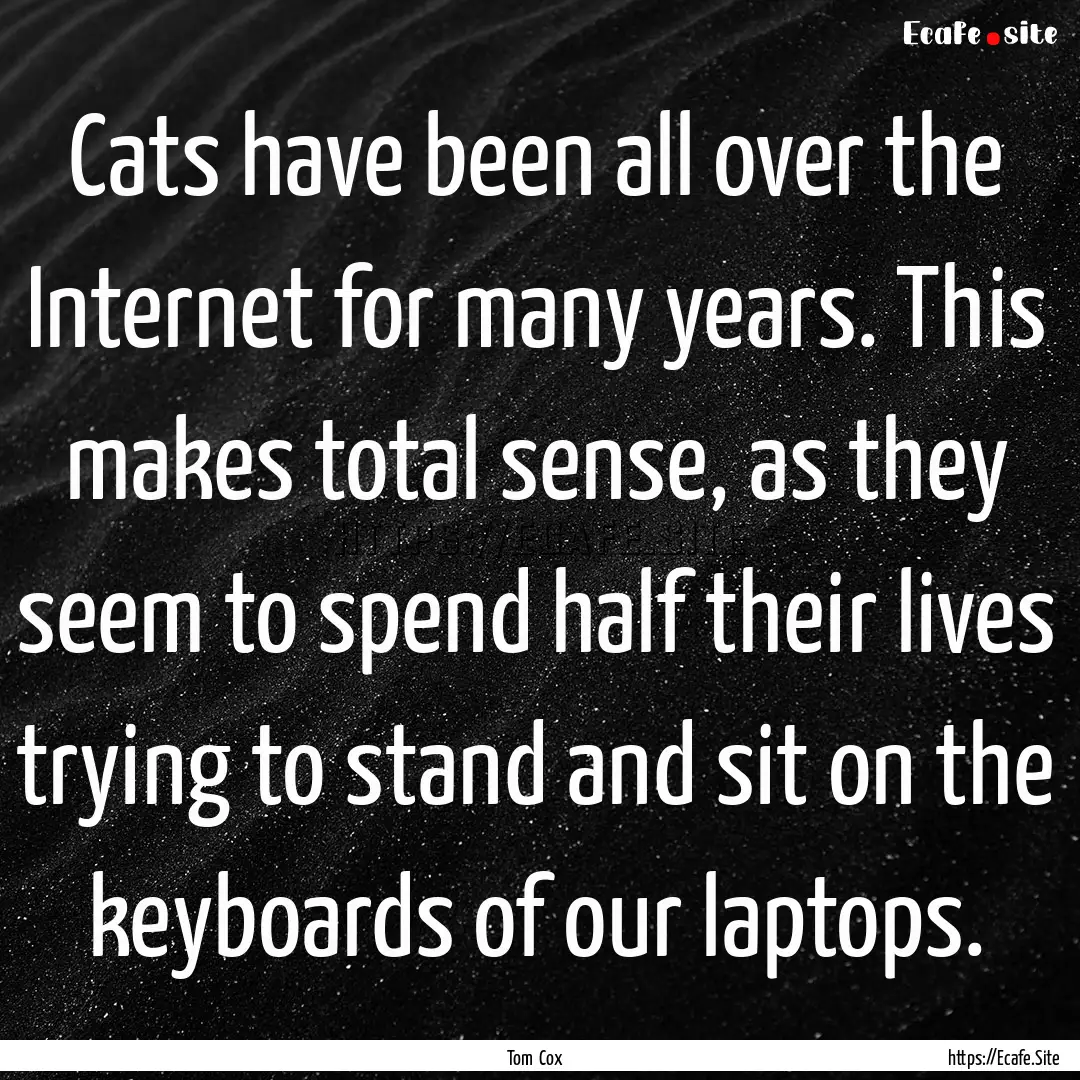 Cats have been all over the Internet for.... : Quote by Tom Cox