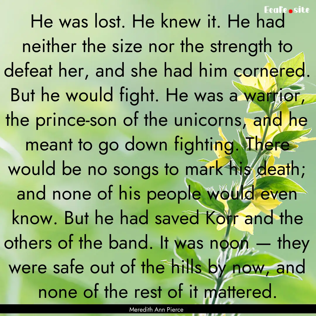 He was lost. He knew it. He had neither the.... : Quote by Meredith Ann Pierce