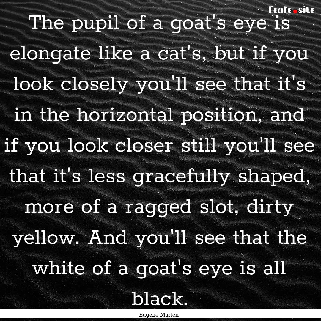 The pupil of a goat's eye is elongate like.... : Quote by Eugene Marten