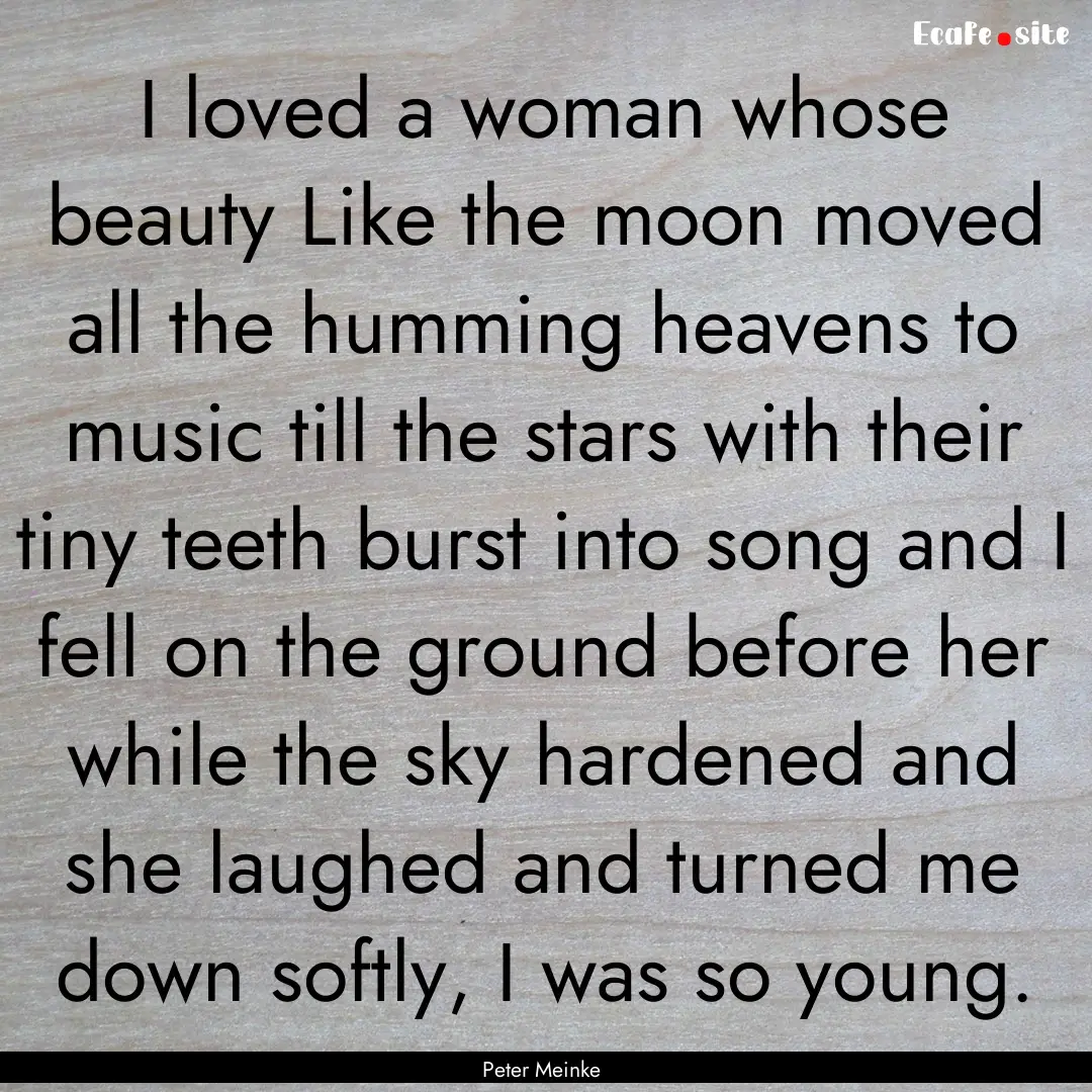 I loved a woman whose beauty Like the moon.... : Quote by Peter Meinke