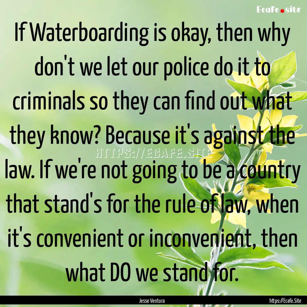 If Waterboarding is okay, then why don't.... : Quote by Jesse Ventura